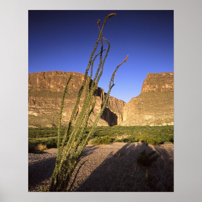 Poster Papais noeis Elena Canyon (Frente)