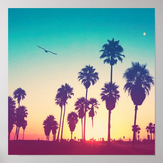 Poster Papais noeis Monica Beach (Frente)