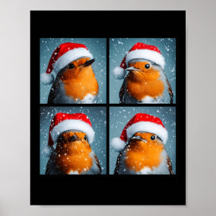 Poster Papais noeis Robin Redbreast Winter Bird Fotografi
