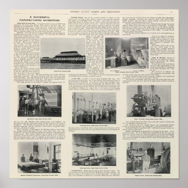 Póster Papais noeis Rosa, Califórnia (Frente)