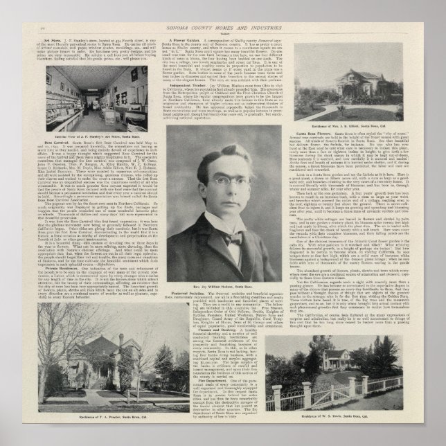 Poster Papais noeis Rosa, Califórnia 3 (Frente)