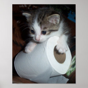 Póster Papel de cozinha