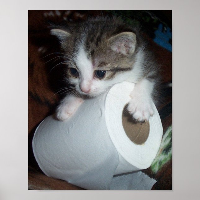 Póster Papel de cozinha (Frente)