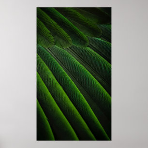 Poster Papel de parede 3D verde
