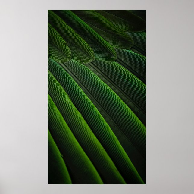 Poster Papel de parede 3D verde (Frente)