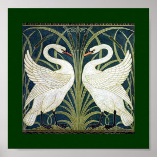 Póster Papel de parede da cisne e da precipitação e da