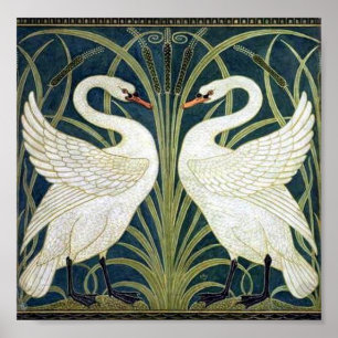 Póster Papel de parede Swan e Rush e Iris