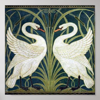 Póster Papel de parede Swan e Rush e Iris