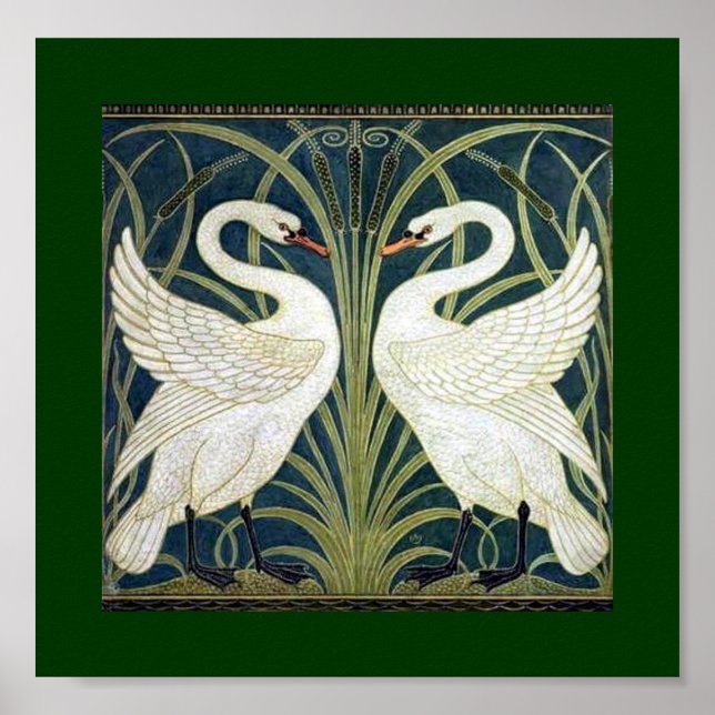 Póster Papel de parede Swan e Rush e Iris (Frente)