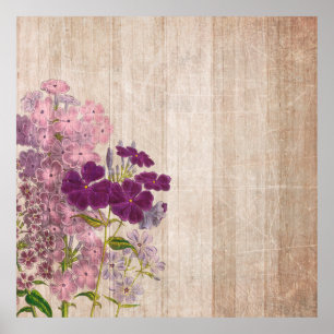 Poster Papel de raspagem de fundo