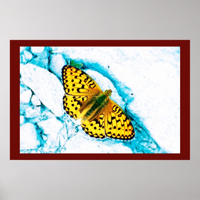 Poster papillon 2 (Frente)