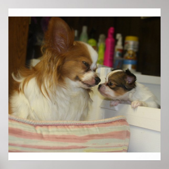 Póster Papillon Mãe e Bebê (Frente)