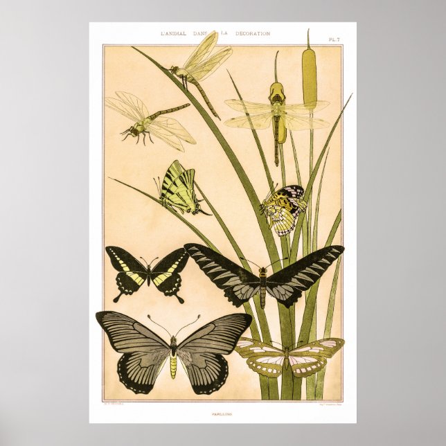 Poster Papillons & Dragonflies por Maurice Verneuil Poste (Frente)