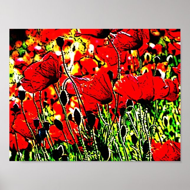 Poster papoila (Frente)