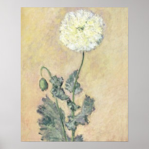 Póster Papoila branca de Claude Monet , 1883