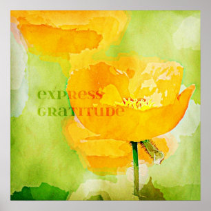 Póster Papoila expressa da laranja da gratitude