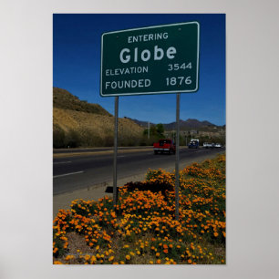 Poster Papoilas alaranjadas que florescem na arizona do