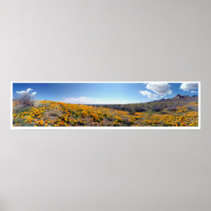 Póster Papoilas douradas mexicanas - montanhas de