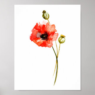 Póster Papoilas vermelhas com pintura aquosa
