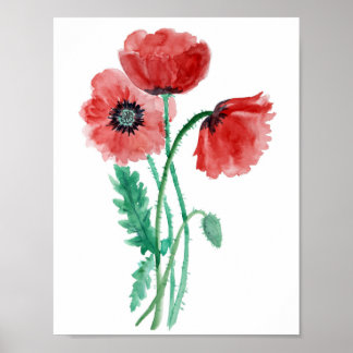 Poster Papoilas vermelhas em aquarela
