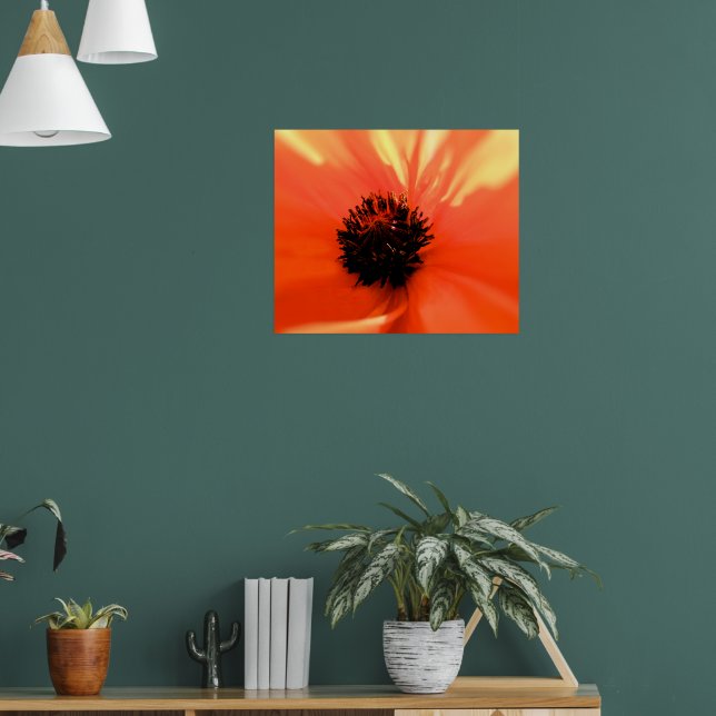 Póster Papoula laranja - Personalizado - Macio (Sala de Estar 1)
