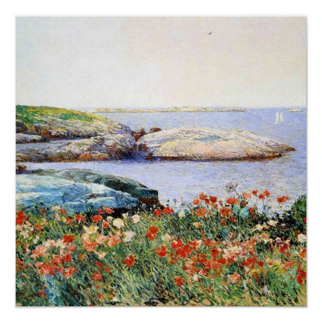 Póster Papoulas, Ilhas de Shoals, (Frente)