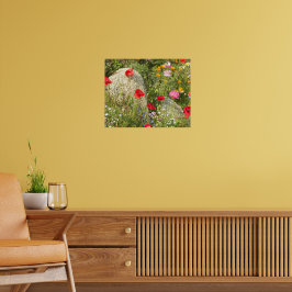 Póster Papoulas Shirley Coloridas Fotografia Floral