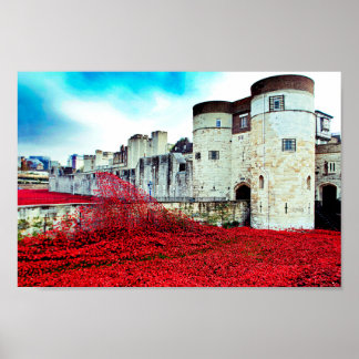 Poster Papoulas Vermelhas da Torre de Londres Papoula Ver