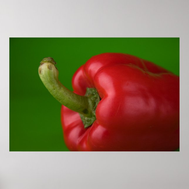 Poster páprica (Frente)