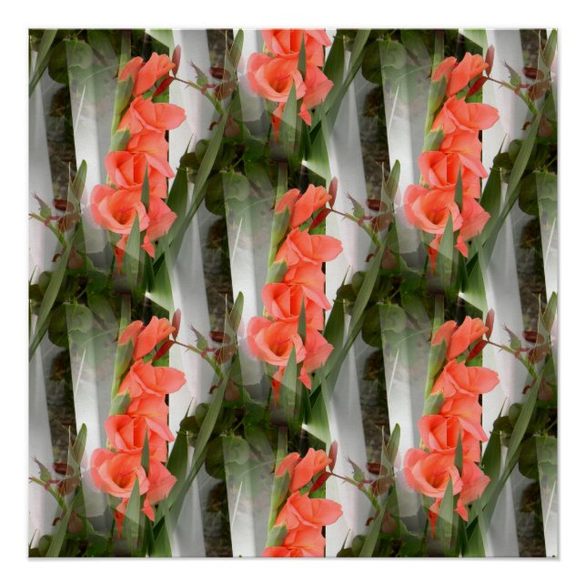 Póster Paquiabilidade.... (Frente)