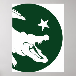 Poster Paquistão Crocodilo Paquistanês Bandeira Animal Na