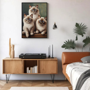 Poster Par Adorável de Gatinhos Ragdoll Gato Doce