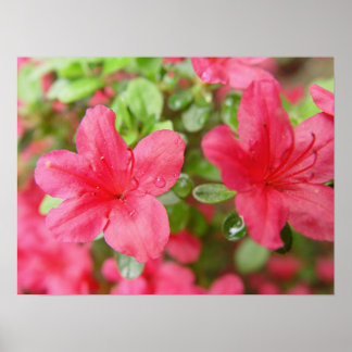 Póster Par da ventoinha