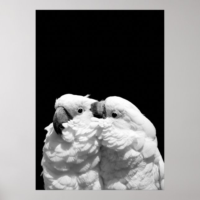 Póster Par de cataratas (Frente)