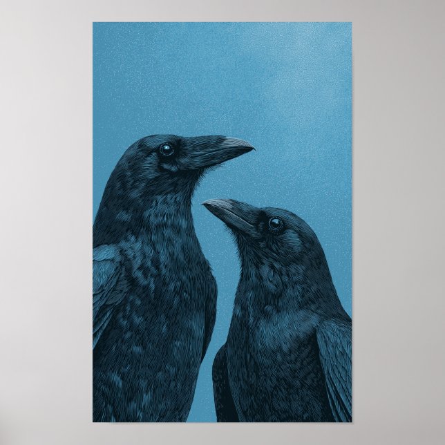 Poster Par de corvos em um fundo azul (Frente)