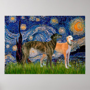 Póster Par de Galgos - Noite Estrelada