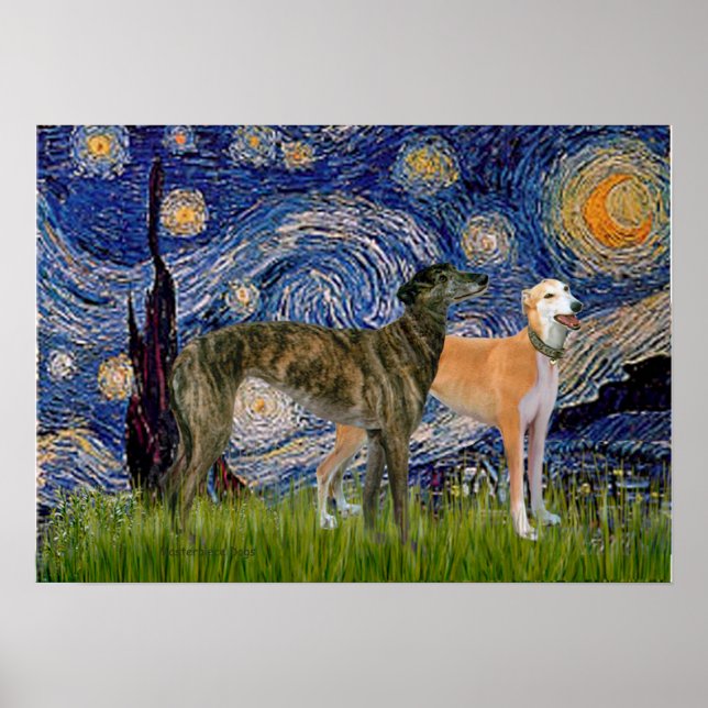 Póster Par de Galgos - Noite Estrelada (Frente)