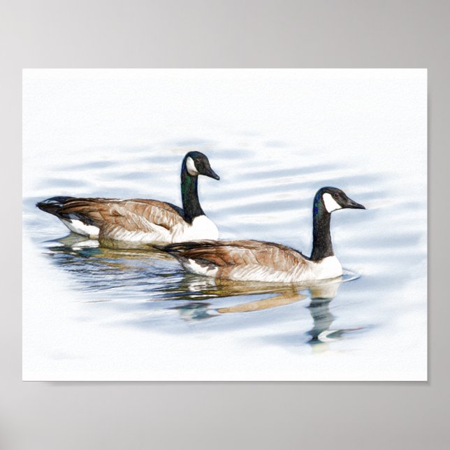Póster Par de Gansos (Frente)