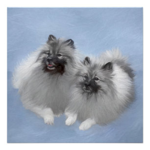 Póster Par de Keeshond Pintura Original de Arte Animal