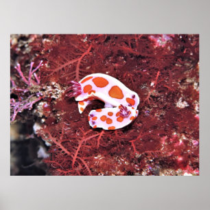 Poster Par de Nudis