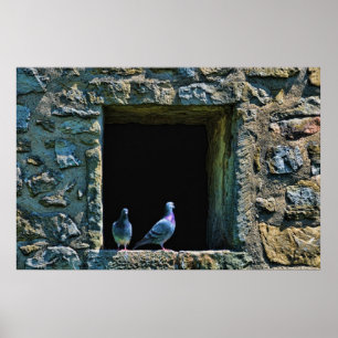 Póster Par de pombos na janela do castelo