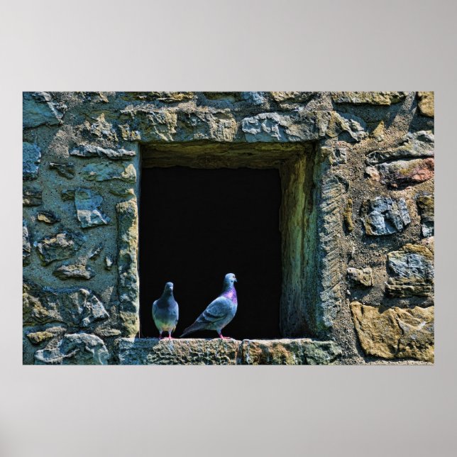 Póster Par de pombos na janela do castelo (Frente)
