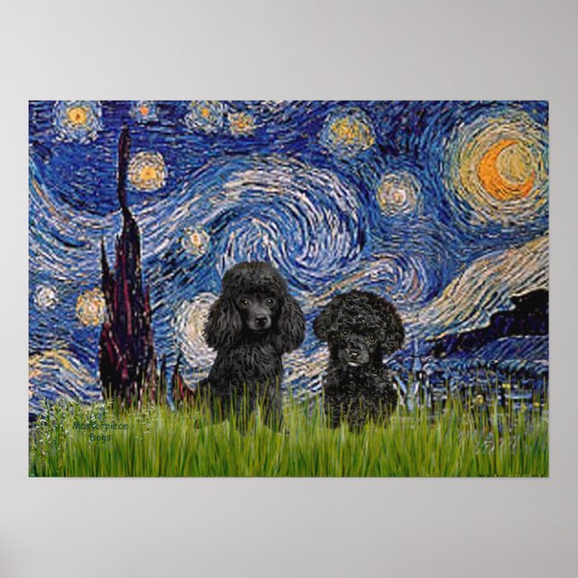 Póster Par de Poodles (preto) - Noite Estrelada (Frente)