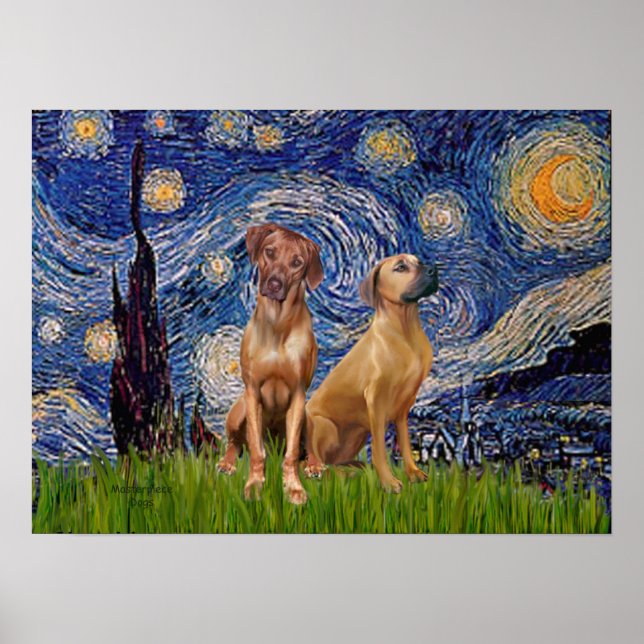 Póster Par de Rhodesian Ridgeback - Noite Estrelada (Frente)
