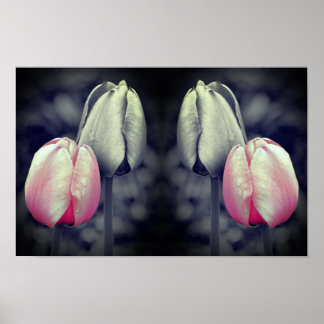 Poster Par de Tulipas Arte Preto e Branco Cor Parcial 