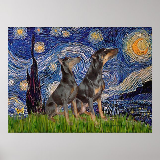 Póster Par Doberman - Noite Estrelada (Frente)