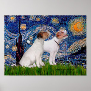 Poster Par Jack Russell 4 - Noite Estrelada