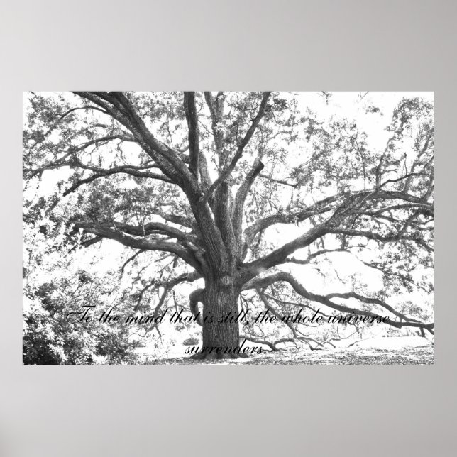 Poster Para a mente, isso ainda é. (Frente)