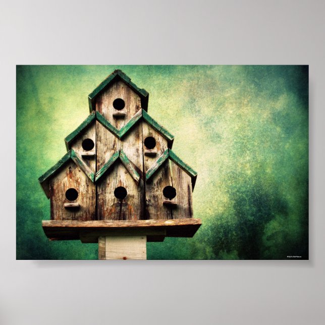 Póster Para as aves (Frente)