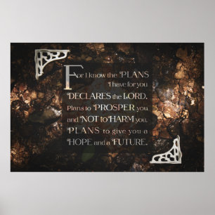 Poster Para eu sei os planos que eu tenho para você